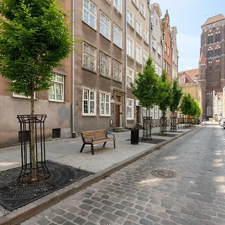 Gedanum Old Town Center St.marry Church Gdańsk